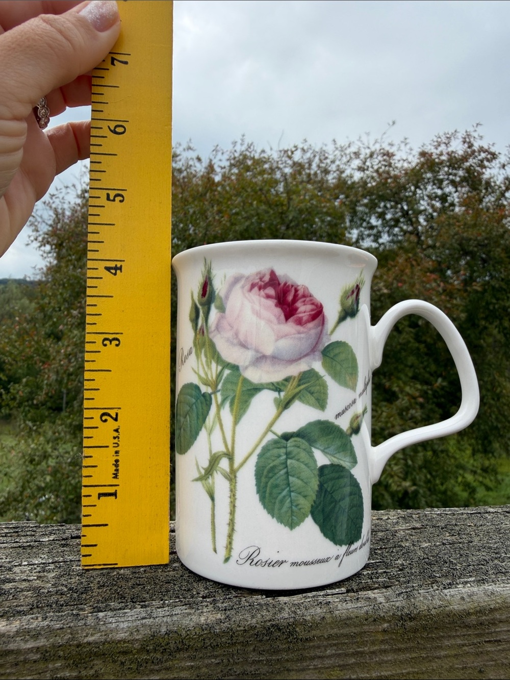 Roy Kirkham Redouté Roses Mug - Picture 9 of 9